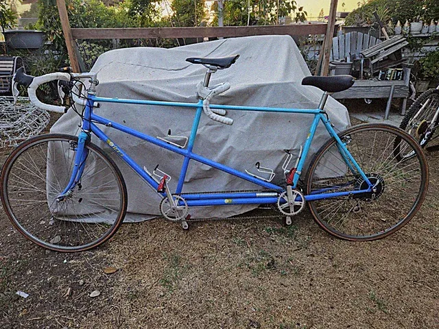 💥KEITH LIPPY Tandem Road Bike Steel Cinelli Phil Hubs CAMPAGNOLO SPECIALIZED