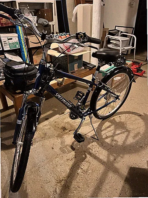 Specialized Expedition Sport Bike