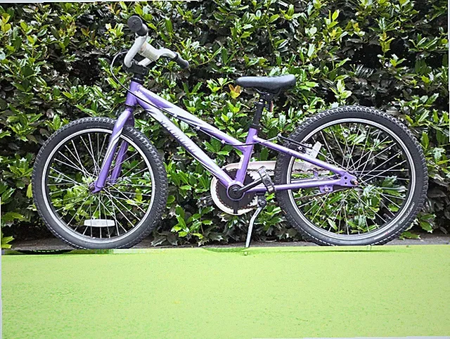 Specialized Kids Bike 20 in 1-Speed Caliper Brakes Kickstand Reflectors