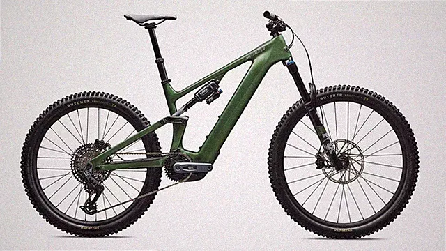 Specialized Turbo Levo 4 Expert Gloss Cypress Metallic / Silver Dust