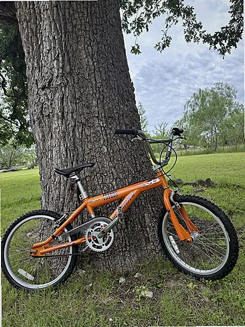 Vintage Specialized Fatboy 20” BMX Bike Survivor